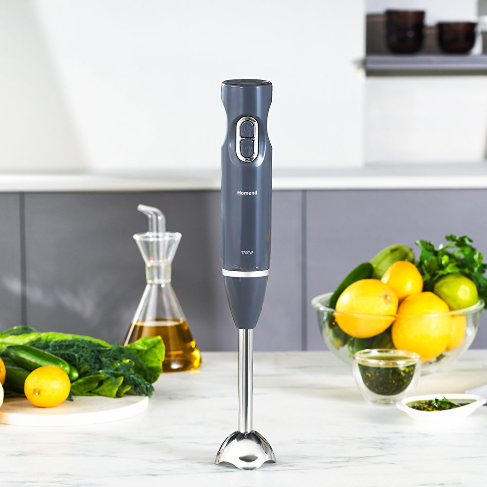Homend Handmaid 1935h Çubuk Blender Antrasit 1700W görseli 1
