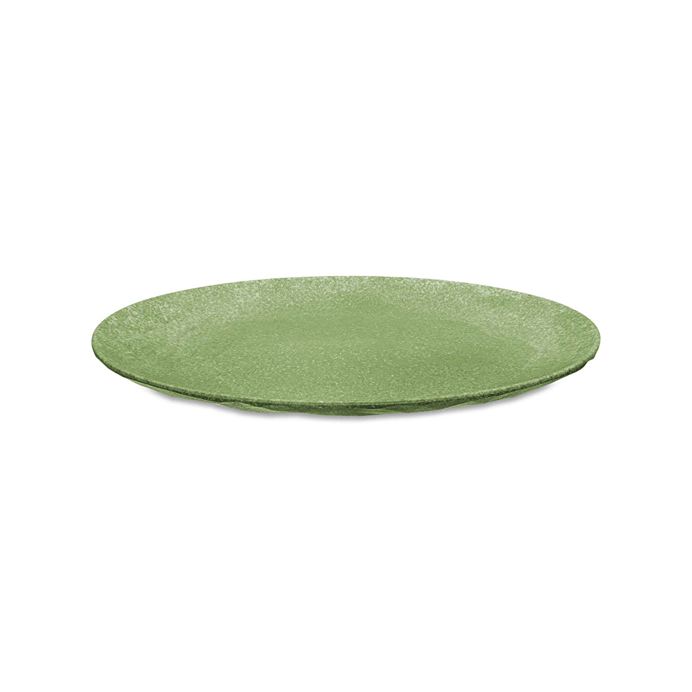 Koziol 4'lü Tabak 26 cm Yeşil  görseli 2