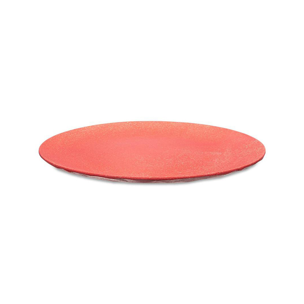 Koziol 4'lü Mercan Tabak 26 cm görseli 2