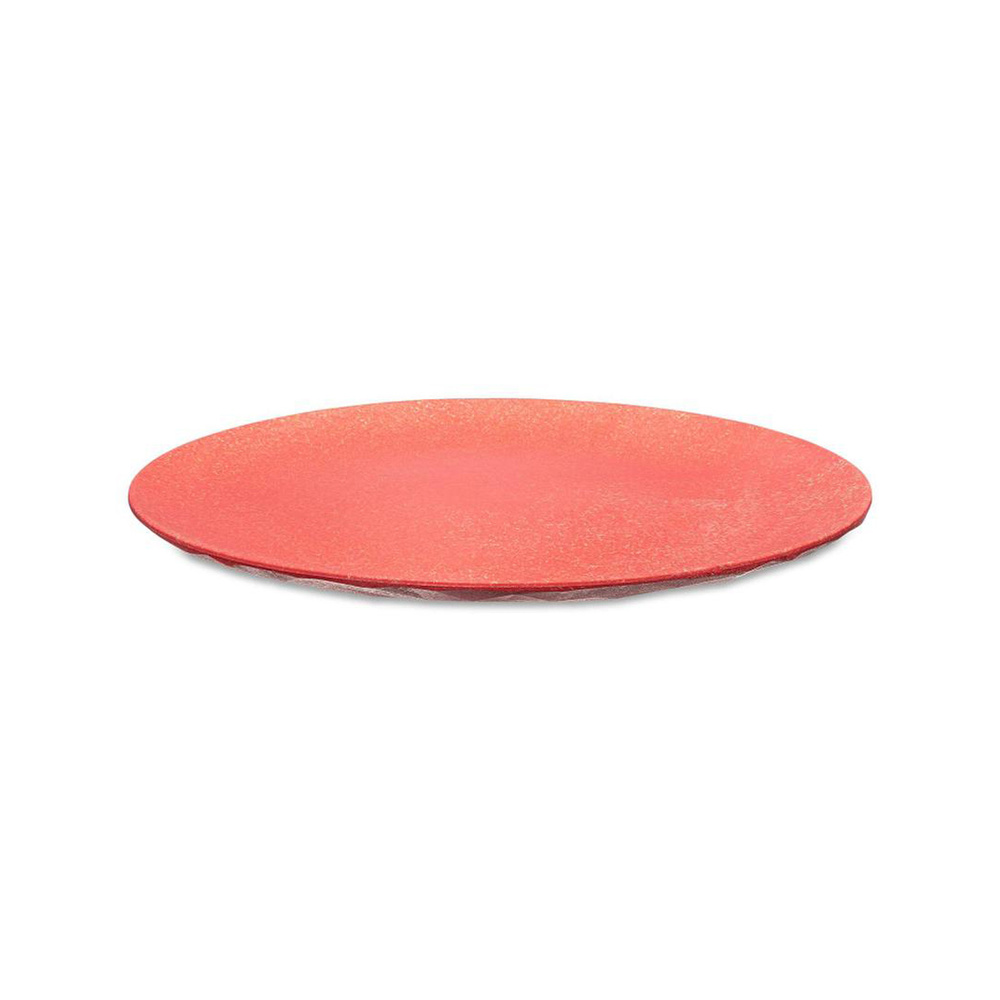 Koziol 4'lü Mercan Tabak 26 cm görseli 4