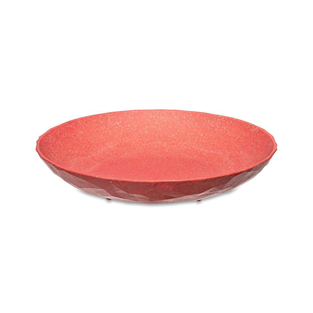 Koziol 4'lü Tabak 22 cm Mercan görseli 4