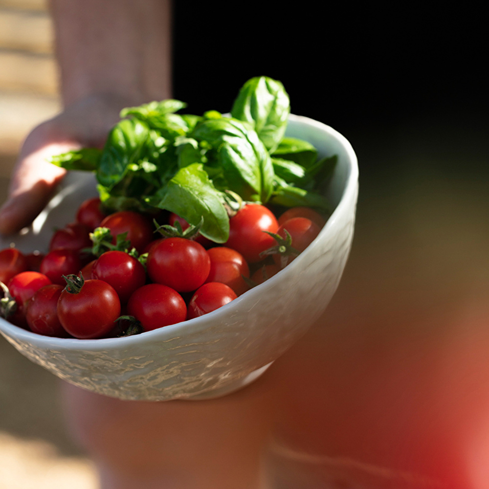 Revol Ylı Beyaz Bowl Kase 300 ml görseli 3