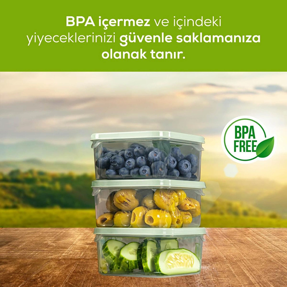 Vienev 6'lı 350 Ml Buzdolabı Dondurucu Organizer Mikrodalga Ve Difrize Uygun Saklama Kabı Mint görseli 4