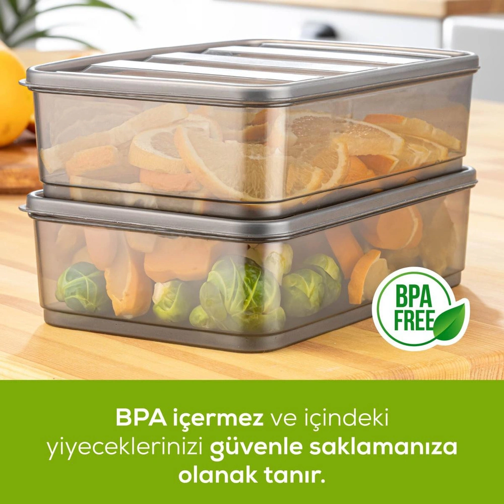 Vienev 2'li Bella Buzdolabı Düzenleyici 1,75 Litre Antrasit görseli 3