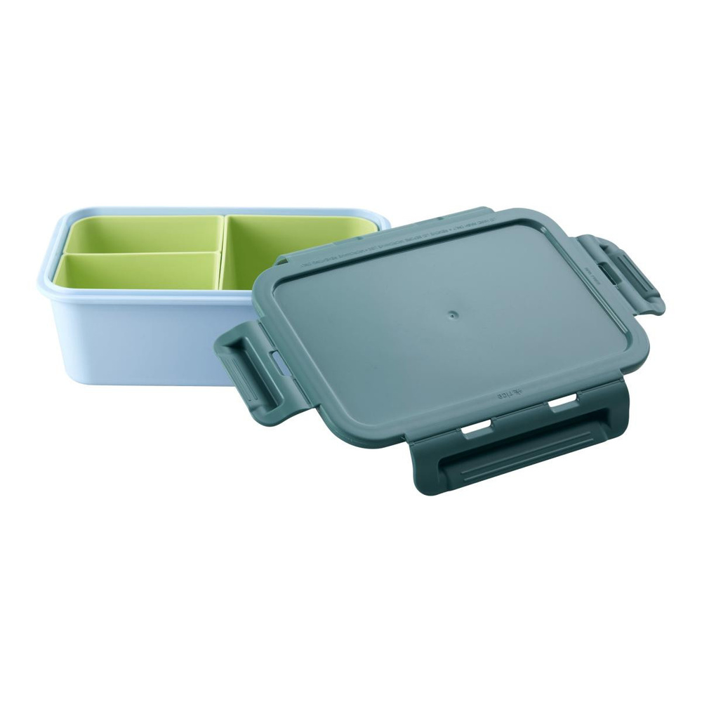 Rice Plastik Lunchbox - Yeşil Ve Mavi görseli 1