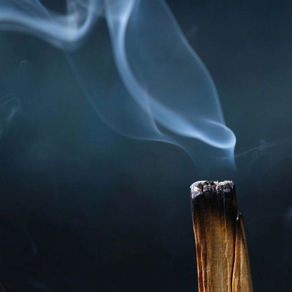 Coho Objet Coho Natural Palo Santo Tütsü Ağacı 4 Lü Set görseli 4