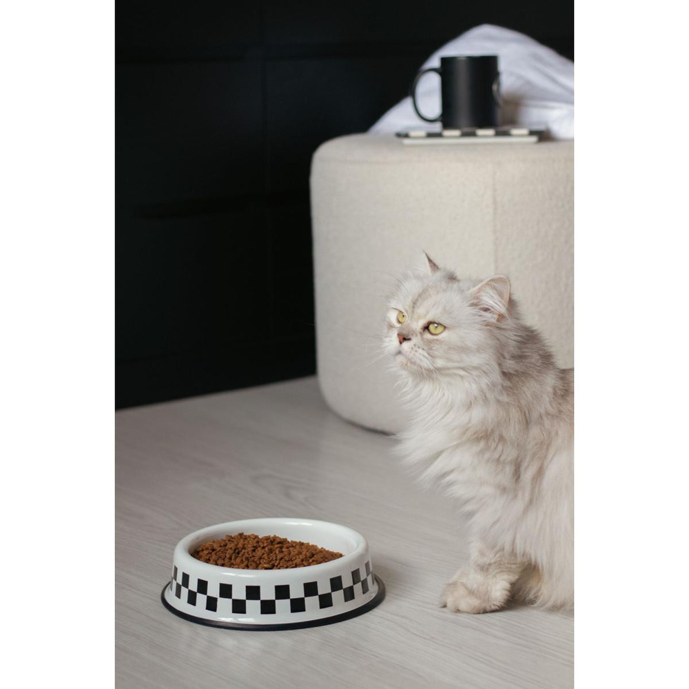 Emaylab Emaye Kedi Köpek Mama Ve Su Kabı Dama görseli 1