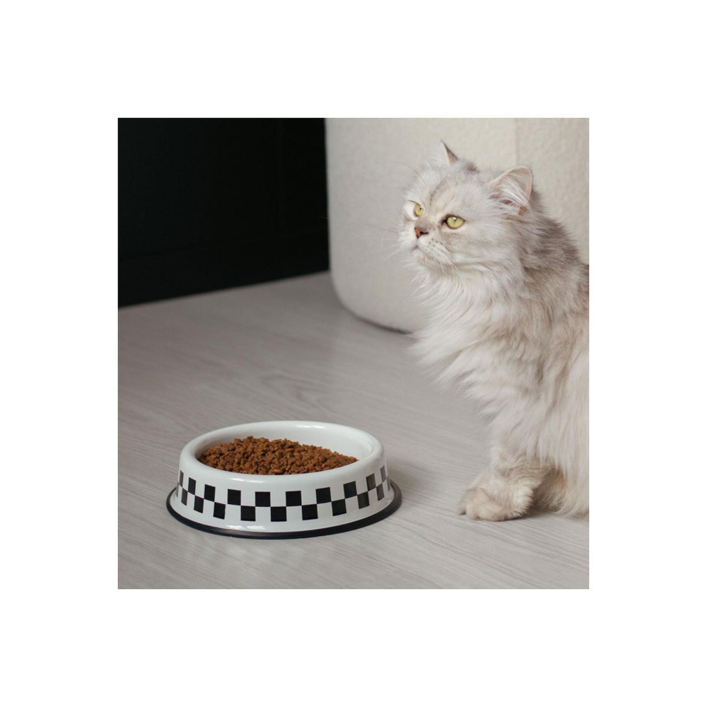 Emaylab Emaye Kedi Köpek Mama Ve Su Kabı Dama görseli 2