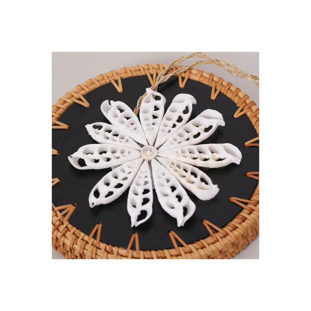 Mylamp Yılbaşı Dekoru Sea Shell Yıldız 13 Cm görseli 4
