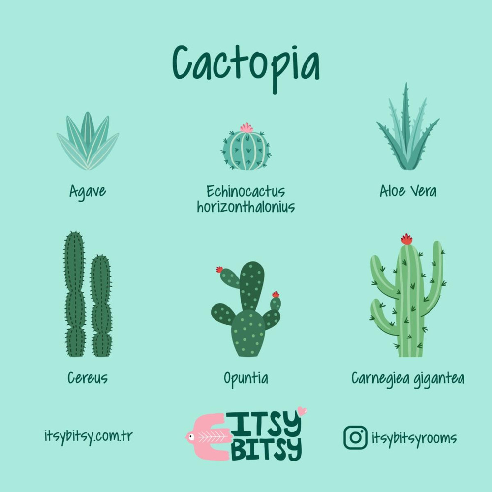 Itsy Bitsy Kids Cactopia Tavan Aydınlatması, Çok Renkli , 40cm görseli 2