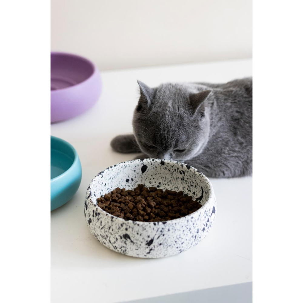 Beige & Stone Seramik El Yapımı Mama / Su Kabı (s) - Benekli 14 Cm görseli 1