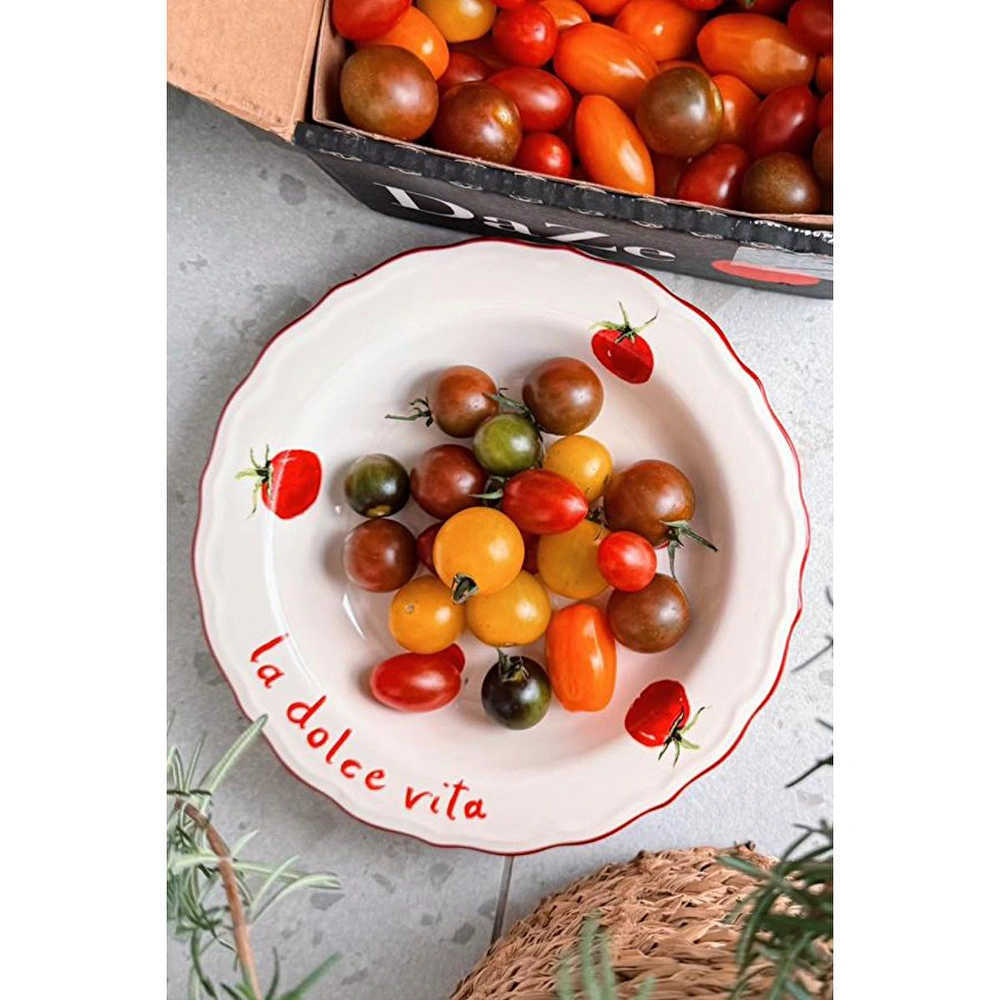 Rakle Pomodoro Stoneware 4'lü Yemek Tabağı Seti 23 Cm görseli 1