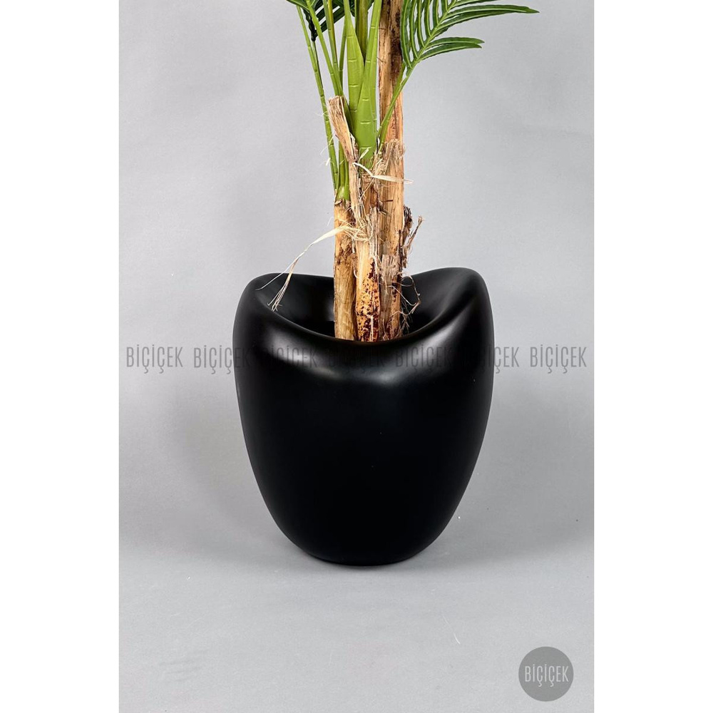 Biçiçek Areka Ağacı 220-240 Cm Siyahfiber1 görseli 2