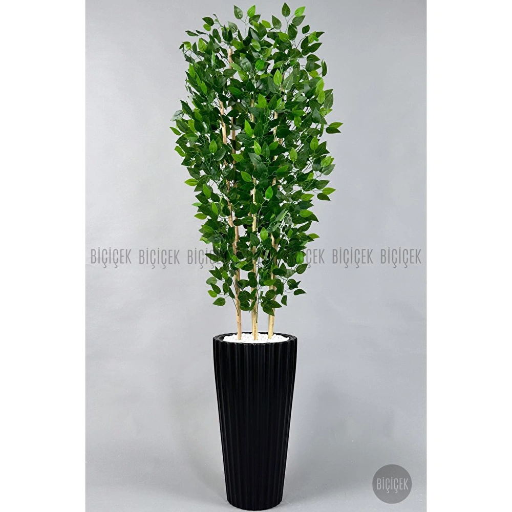 Biçiçek Yapay Bambu Ve Benjamin 6 Dallı Yoğun Yapraklı 220 Cm Siyahbenjami̇n görseli 6