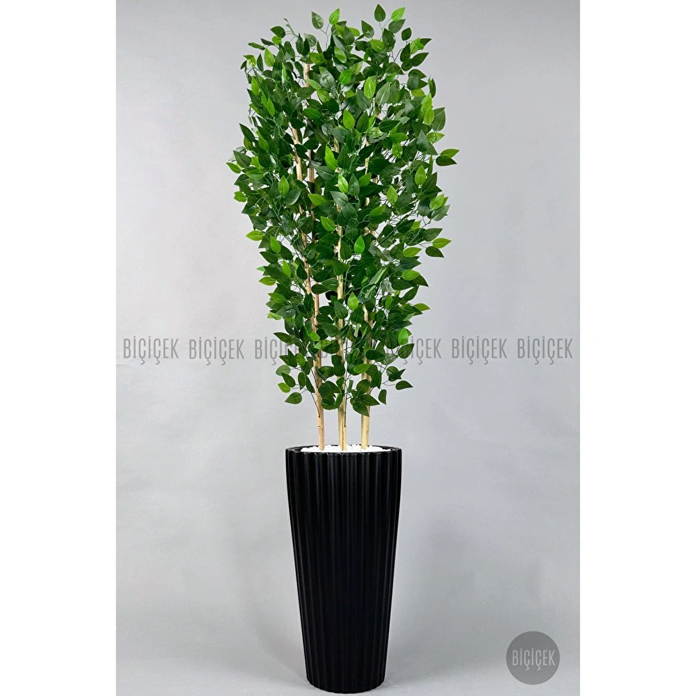 Biçiçek Yapay Bambu Ve Benjamin 6 Dallı Yoğun Yapraklı 220 Cm Siyahbenjami̇n görseli 1