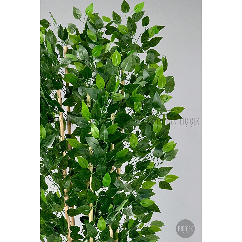 Biçiçek Yapay Bambu Ve Benjamin 6 Dallı Yoğun Yapraklı 220 Cm Siyahbenjami̇n görseli 3