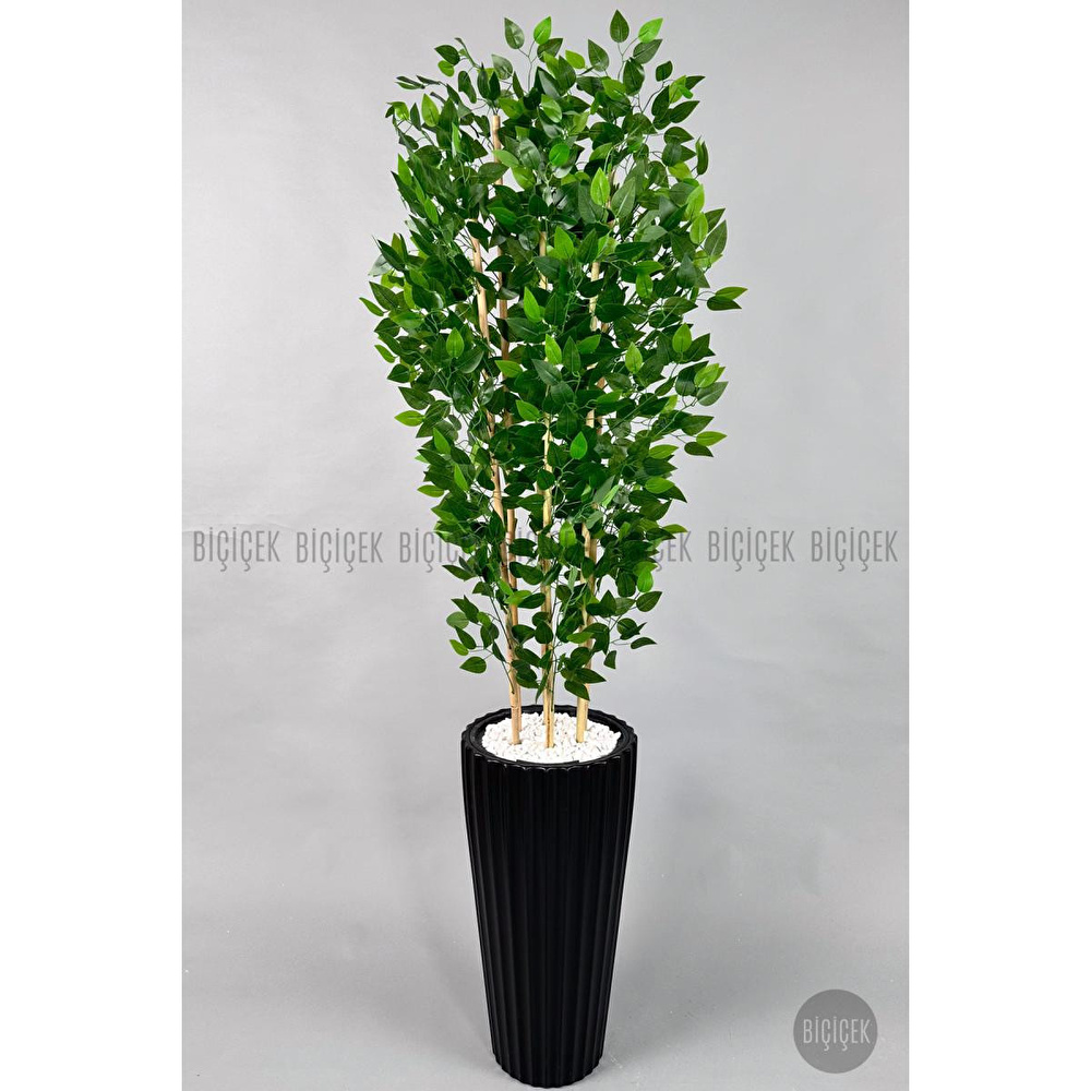 Biçiçek Yapay Bambu Ve Benjamin 6 Dallı Yoğun Yapraklı 220 Cm Siyahbenjami̇n görseli 5
