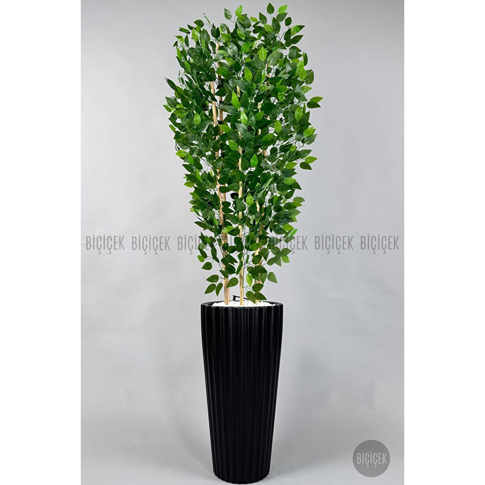 Biçiçek Yapay Bambu Ve Benjamin 6 Dallı Yoğun Yapraklı 220 Cm Siyahbenjami̇n görseli 4