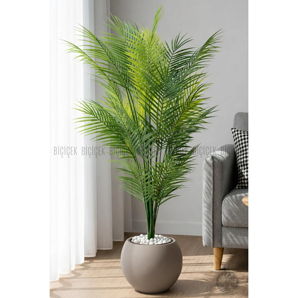 Biçiçek Areka Ağaci 24 Yaprakli 130 Cm Küre Saksida Kahverengi görseli 2