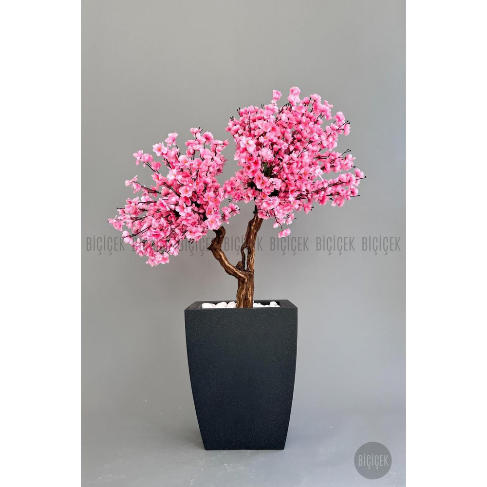 Biçiçek Bonzai Gövdeli Pembe Sakura Ağacı 100cm Dış Mekana Uygun görseli 2