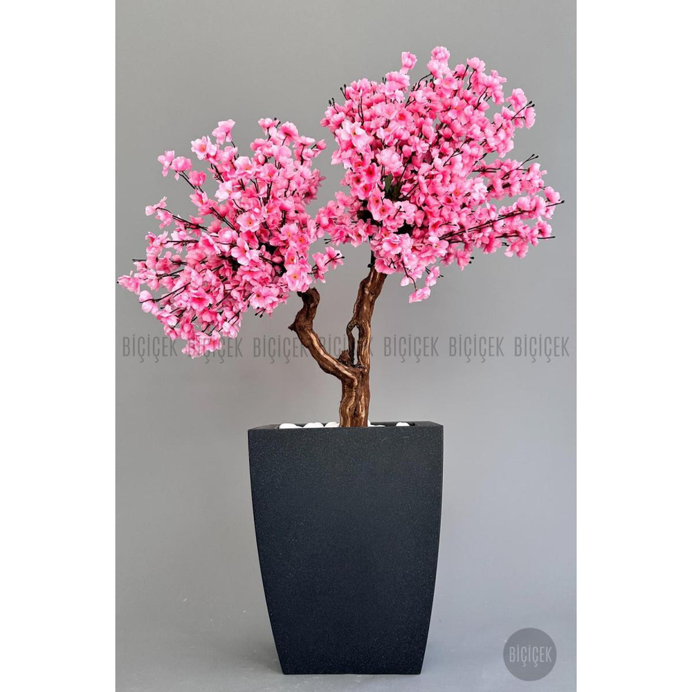 Biçiçek Bonzai Gövdeli Pembe Sakura Ağacı 100cm Dış Mekana Uygun görseli 1