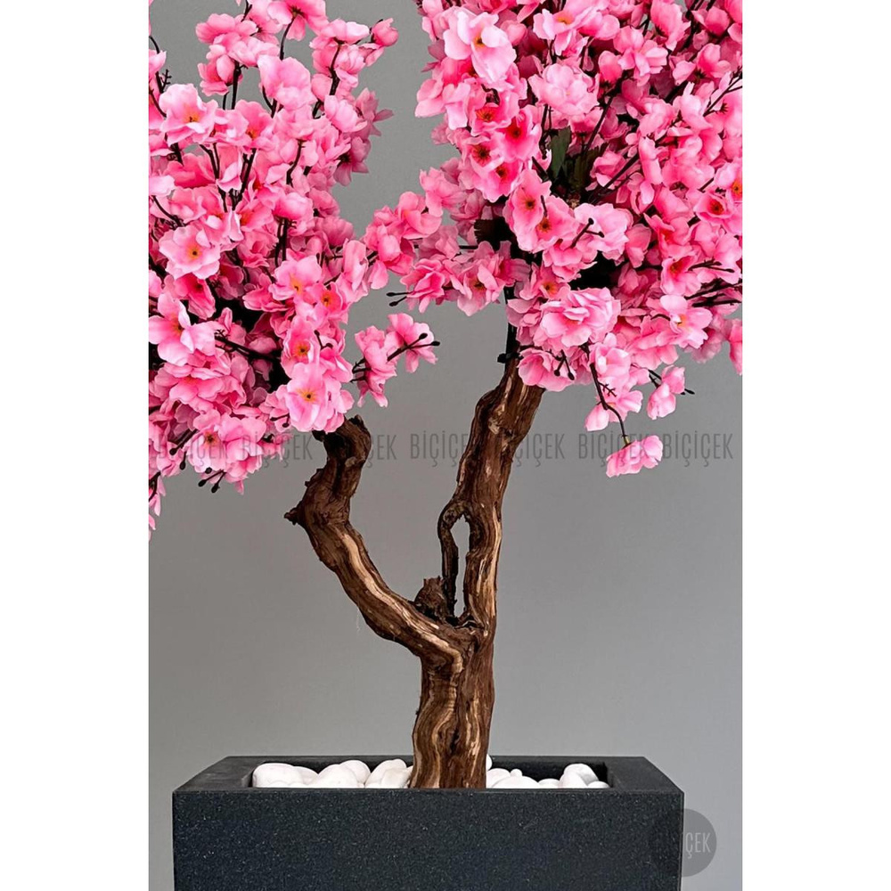 Biçiçek Bonzai Gövdeli Pembe Sakura Ağacı 100cm Dış Mekana Uygun görseli 4