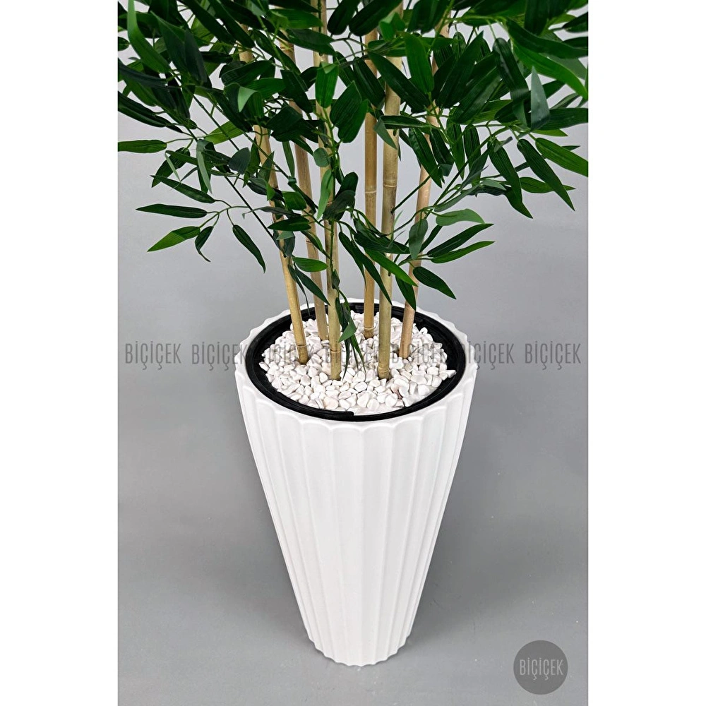 Biçiçek Yapay Bambu Ve Benjamin 6 Dallı Yoğun Yapraklı 220 Cm Beyazbambu görseli 2