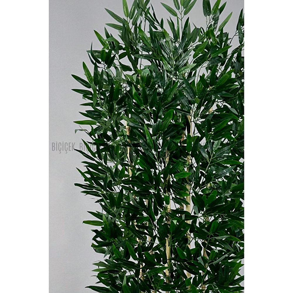 Biçiçek Yapay Bambu Ve Benjamin 6 Dallı Yoğun Yapraklı 220 Cm Beyazbambu görseli 3