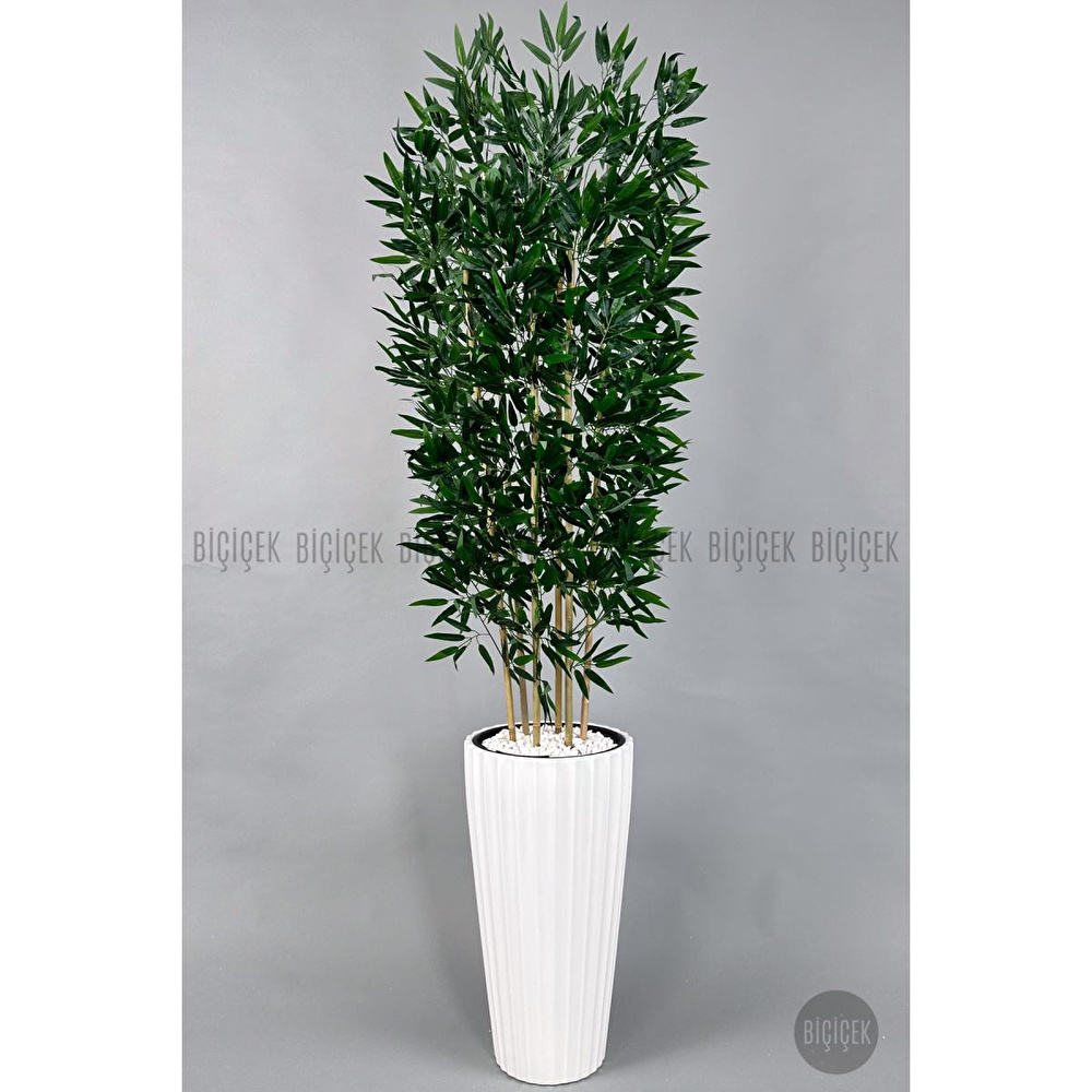 Biçiçek Yapay Bambu Ve Benjamin 6 Dallı Yoğun Yapraklı 220 Cm Beyazbambu görseli 4
