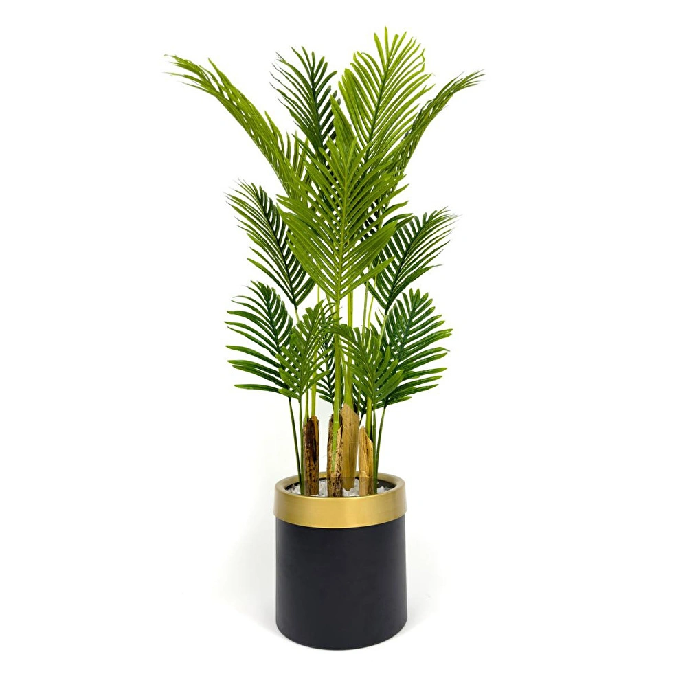 Biçiçek Areka Palmiyesi 160cm Metal Saksıda Black Gold görseli 4