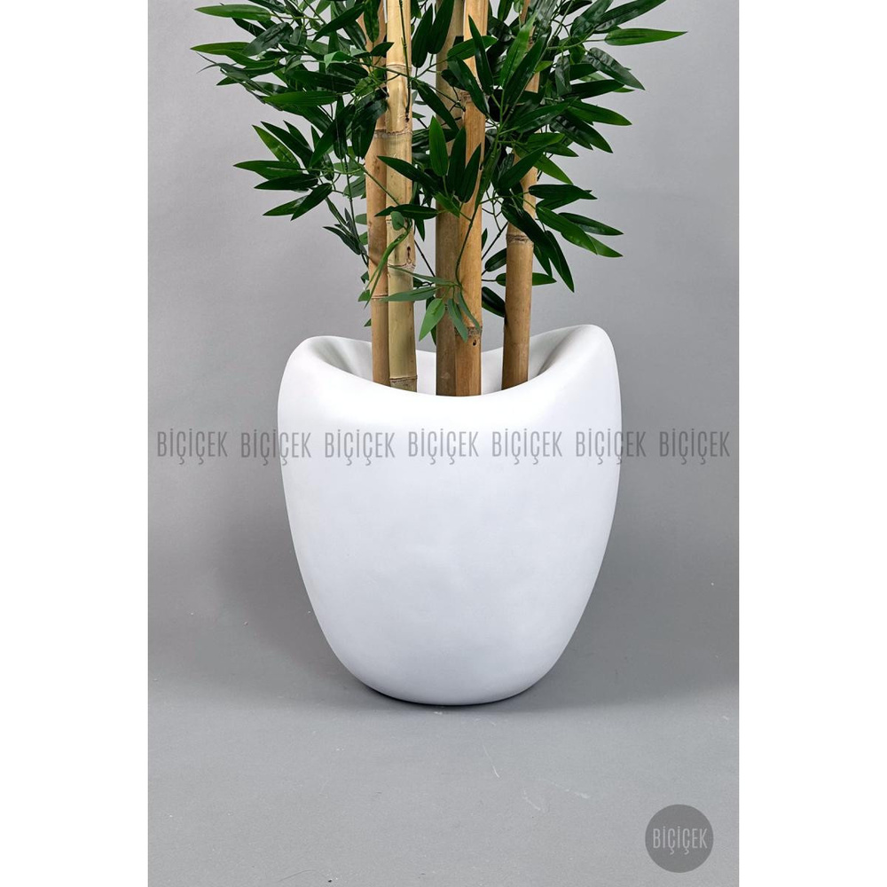 Biçiçek Zen Bambu Ağacı 220-240 Cm Fiber Saksıda Beyazfiber2 görseli 2