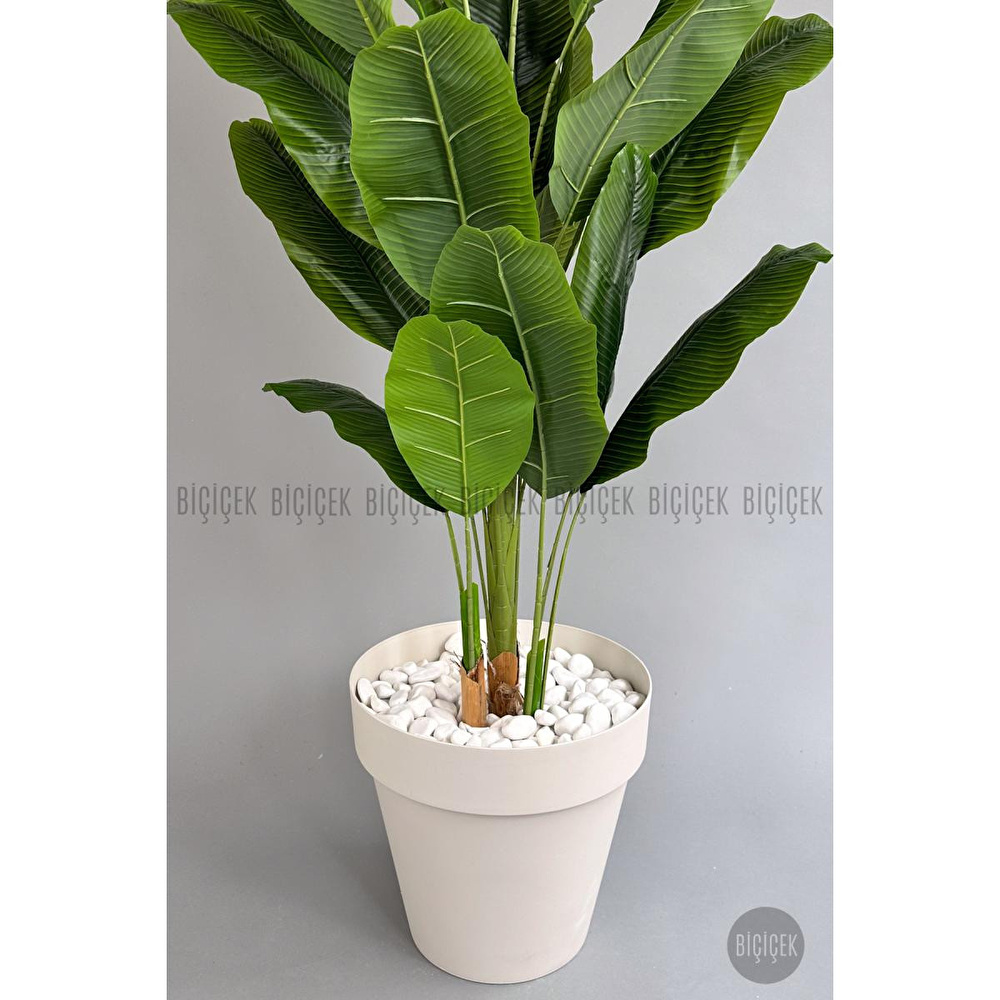 Biçiçek Yapay Ağaç Starliçe Bambu Gövdeli 220cm Büyük Boy Kırıkbeyaz Renk Yalı Saksıda görseli 4