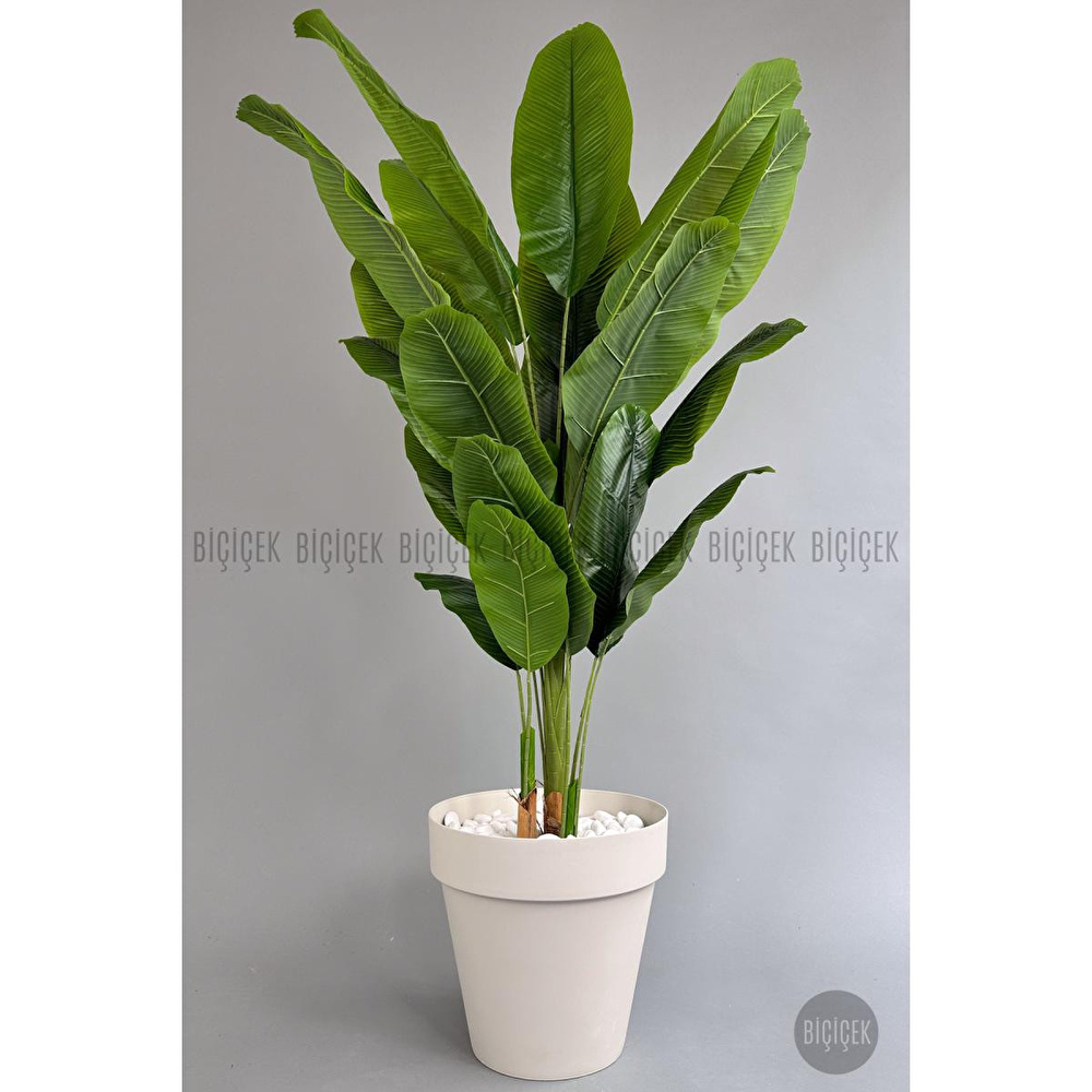 Biçiçek Yapay Ağaç Starliçe Bambu Gövdeli 220cm Büyük Boy Kırıkbeyaz Renk Yalı Saksıda görseli 3