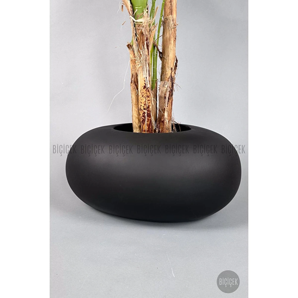 Biçiçek Areka Ağacı 220-240 Cm Siyahfiber2 görseli 2
