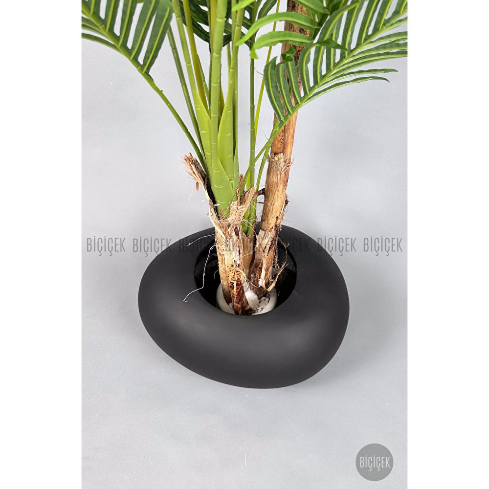 Biçiçek Areka Ağacı 220-240 Cm Siyahfiber2 görseli 4