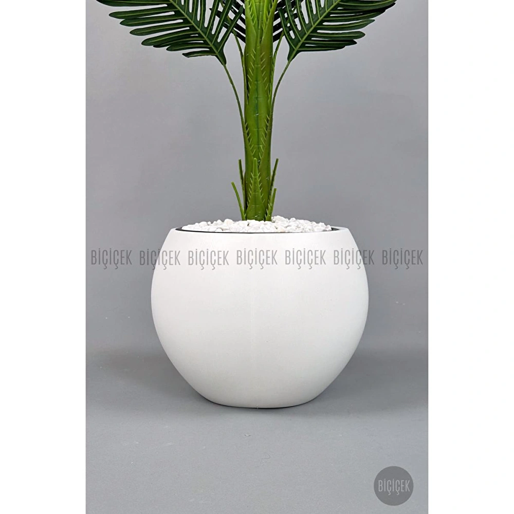 Biçiçek Yapay Areka Ağacı 160-180 Cm Beyazküre170cm görseli 2