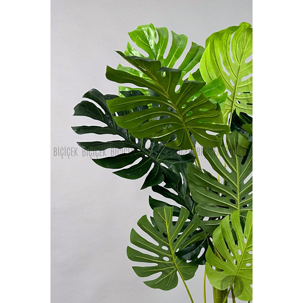 Biçiçek Yapay Ağaç Monstera Bambu Gövdeli 150cm Devetabanı Ağacı Büyük Boy Kırıkbeyaz Renk Yalı Saksıda görseli 2