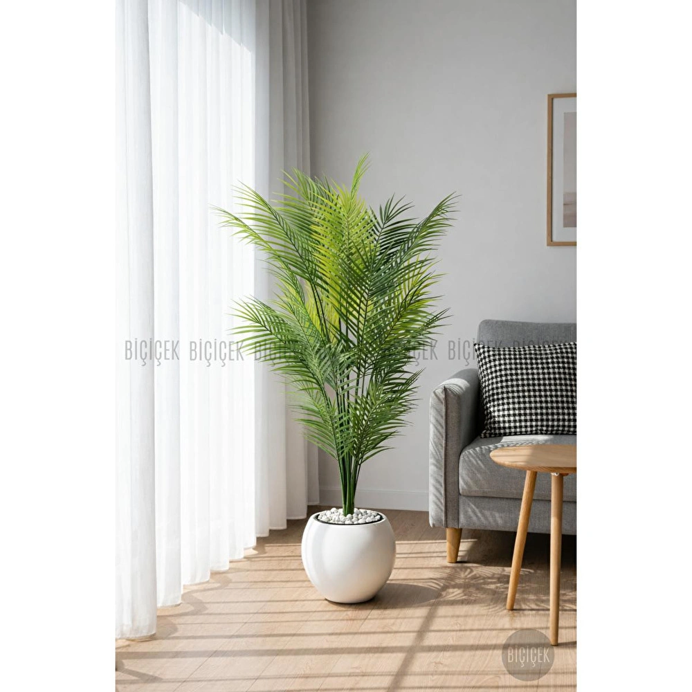Biçiçek Areka Ağaci 24 Yaprakli 130 Cm Küre Saksida Beyaz görseli 4