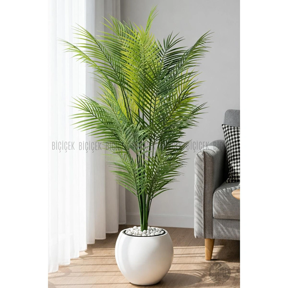Biçiçek Areka Ağaci 24 Yaprakli 130 Cm Küre Saksida Beyaz görseli 2
