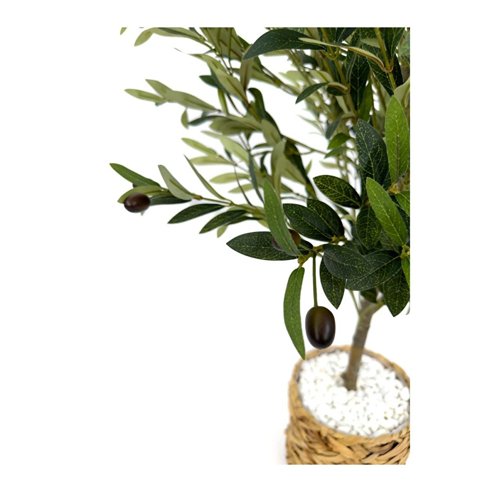 Biçiçek Zeytin Ağacı 100 Cm Hasır Bohem1 Saksıda görseli 2