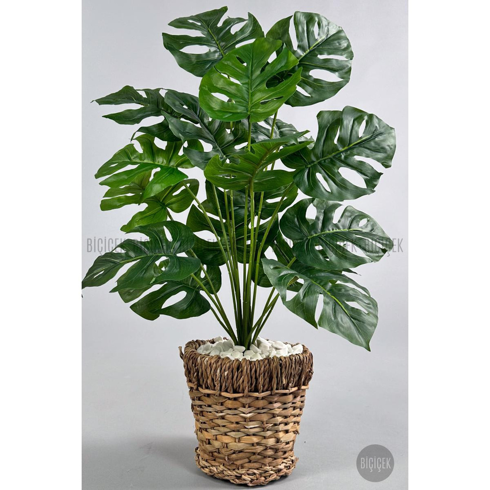 Biçiçek Yapay Monstera Deve Tabanı 65-70 Cm Hasir1 görseli 1