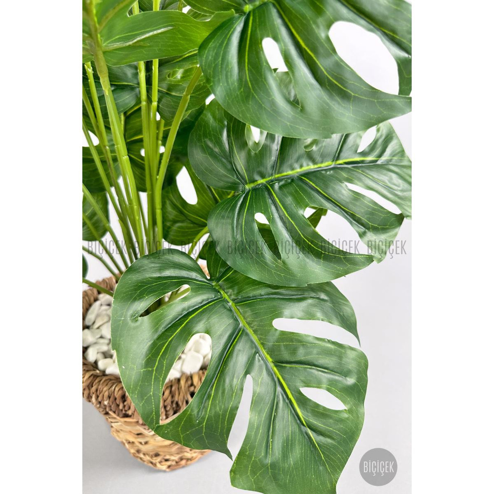 Biçiçek Yapay Monstera Deve Tabanı 65-70 Cm Hasir1 görseli 2