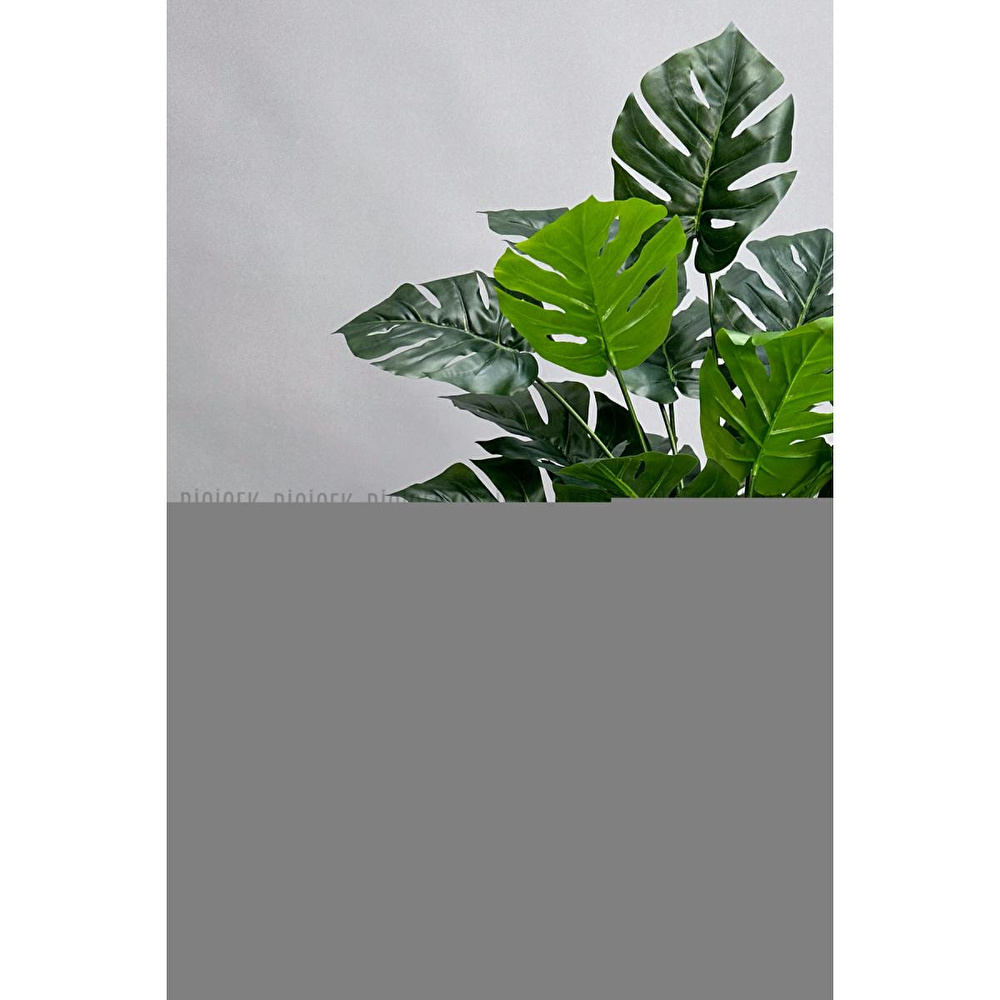 Biçiçek 130 Cm Monstera Bi̇tki̇si̇ Beyaz Li̇lyum Saksida görseli 4