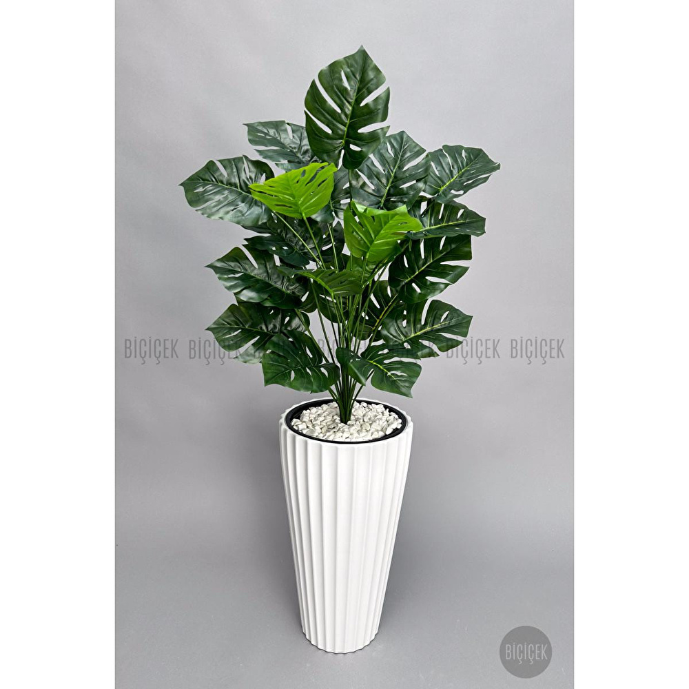Biçiçek 130 Cm Monstera Bi̇tki̇si̇ Beyaz Li̇lyum Saksida görseli 5