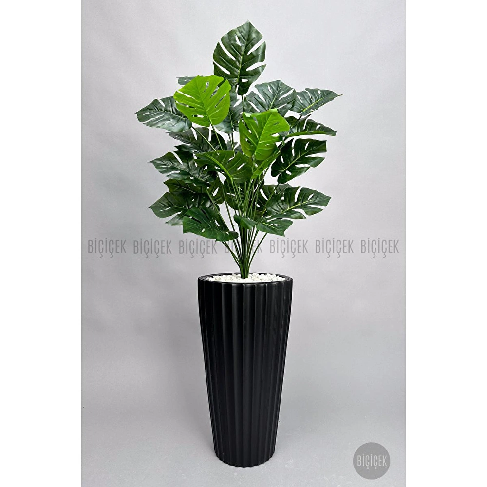 Biçiçek 130 Cm Monstera Bi̇tki̇si̇ Si̇yah Li̇lyum Saksida görseli 5