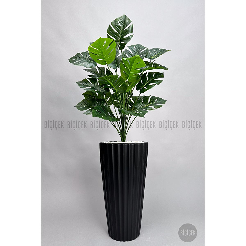 Biçiçek 130 Cm Monstera Bi̇tki̇si̇ Si̇yah Li̇lyum Saksida görseli 4
