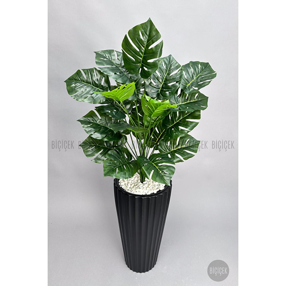 Biçiçek 130 Cm Monstera Bi̇tki̇si̇ Si̇yah Li̇lyum Saksida görseli 3