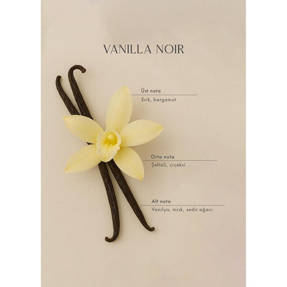 Bella Maison Vanilla Noir Oda Spreyi Siyah (500 Ml) Siyah görseli 3