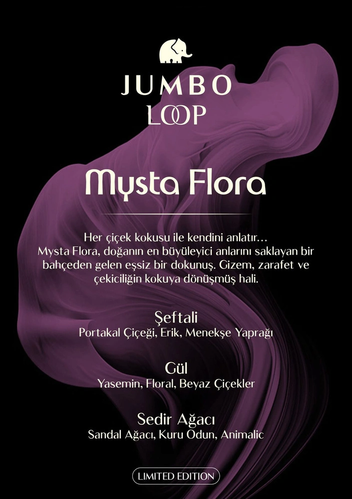 Jumbo Loop Mysta Flora Çubuklu Oda Kokusu, Mat Gül Kurusu Şişe görseli 8