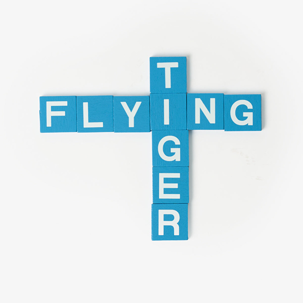 Flying Tiger Copenhagen Yeşil Metal Kutulu Kelime Oyunu görseli 1